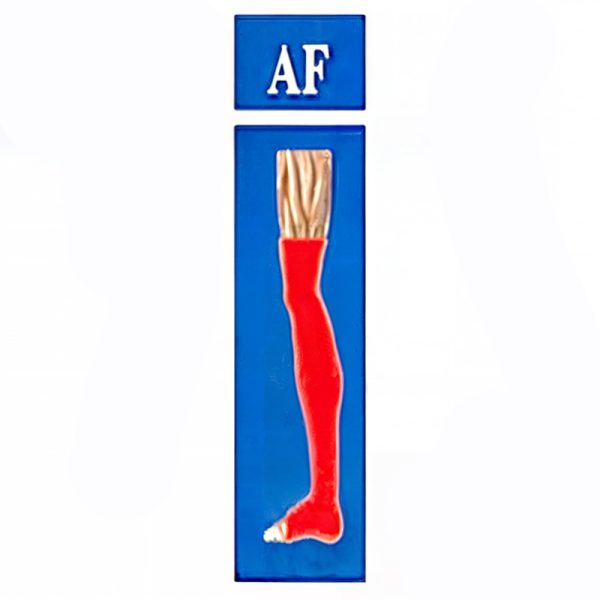 جوراب واریس با کفی مدل AF (کف پا تا بالای زانو) برند سگال مد - Image 3