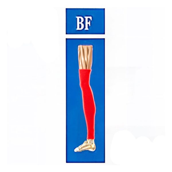 جوراب واریس بدون کفی مدل BF (مچ پا تا بالای زانو) برند سگال مد - Image 2