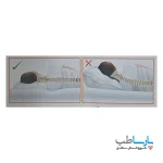 بالش موج دار طبی یونیک